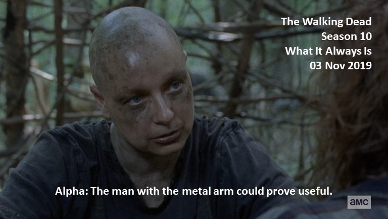 Alpha: The man with the metal arm could prove useful.

#TheWalkingDead
Season 10
What It Always Is
03 November 2019
#TWD, #TWDU
Zombie Apocalypse
Baltimore, Maryland
Whisperer, Leader
Samantha Morton https://t.co/LNt987bc9X