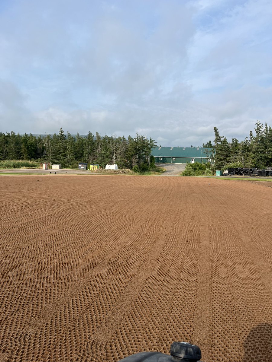 Jason Dziabel tweet media