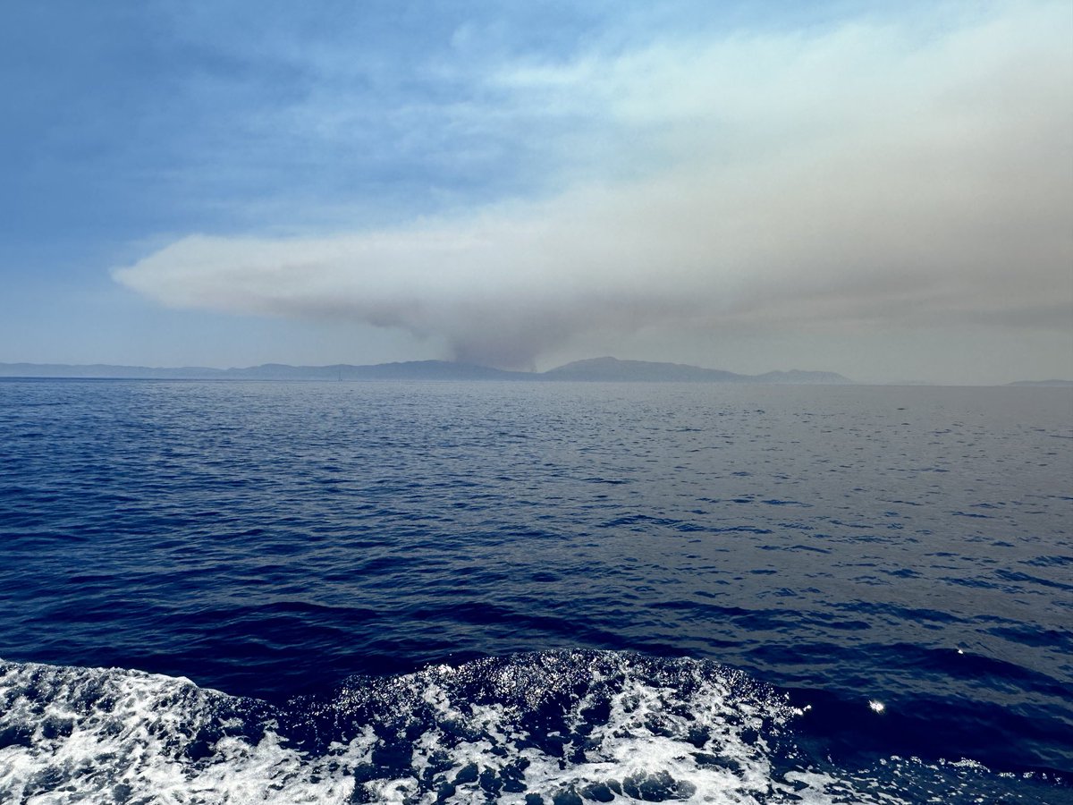 Almas Khan tweet media