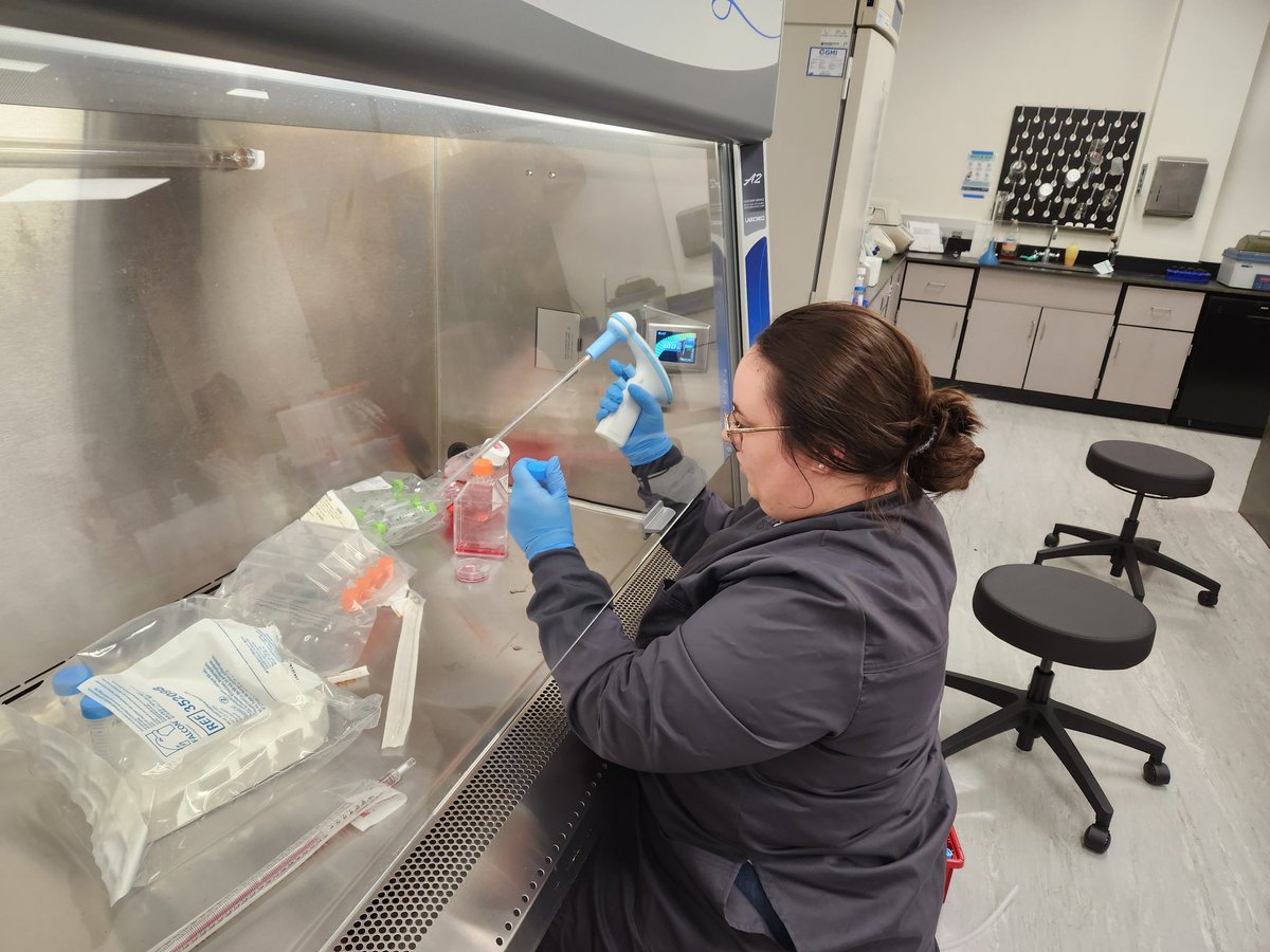 dc_proteinsci's tweet photo. Cell culture up! @GraceMBennett21 https://t.co/DHvsCaLQeV