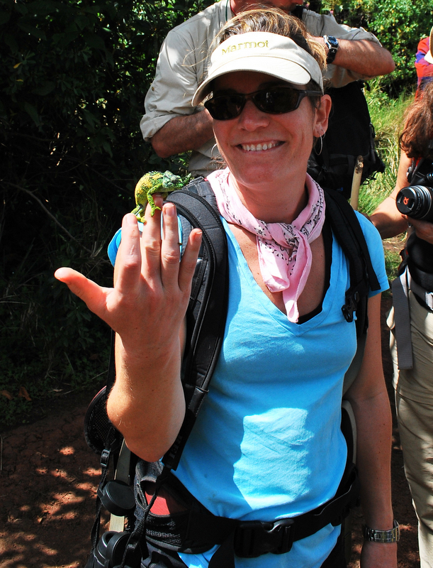 Professor of Environmental Policy & Decision Making and chair of the Department of Geology Kena Fox-Dobbs has been named the new director of the Puget Sound Museum of Natural History. pugetsound.edu/stories/univer… #ToTheHeights