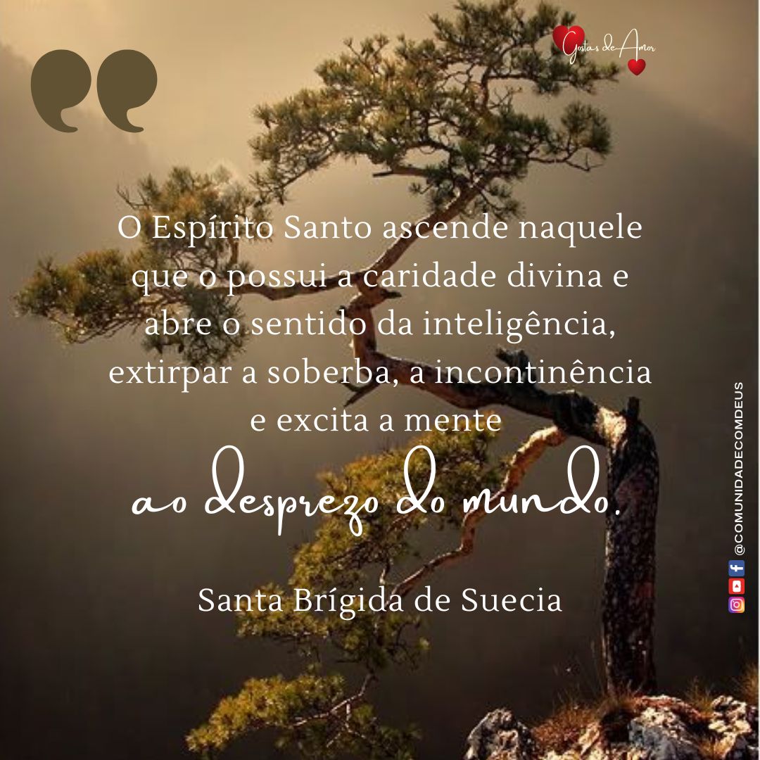 comdeus's tweet image. Vem Espírito de Amor sobre nós!