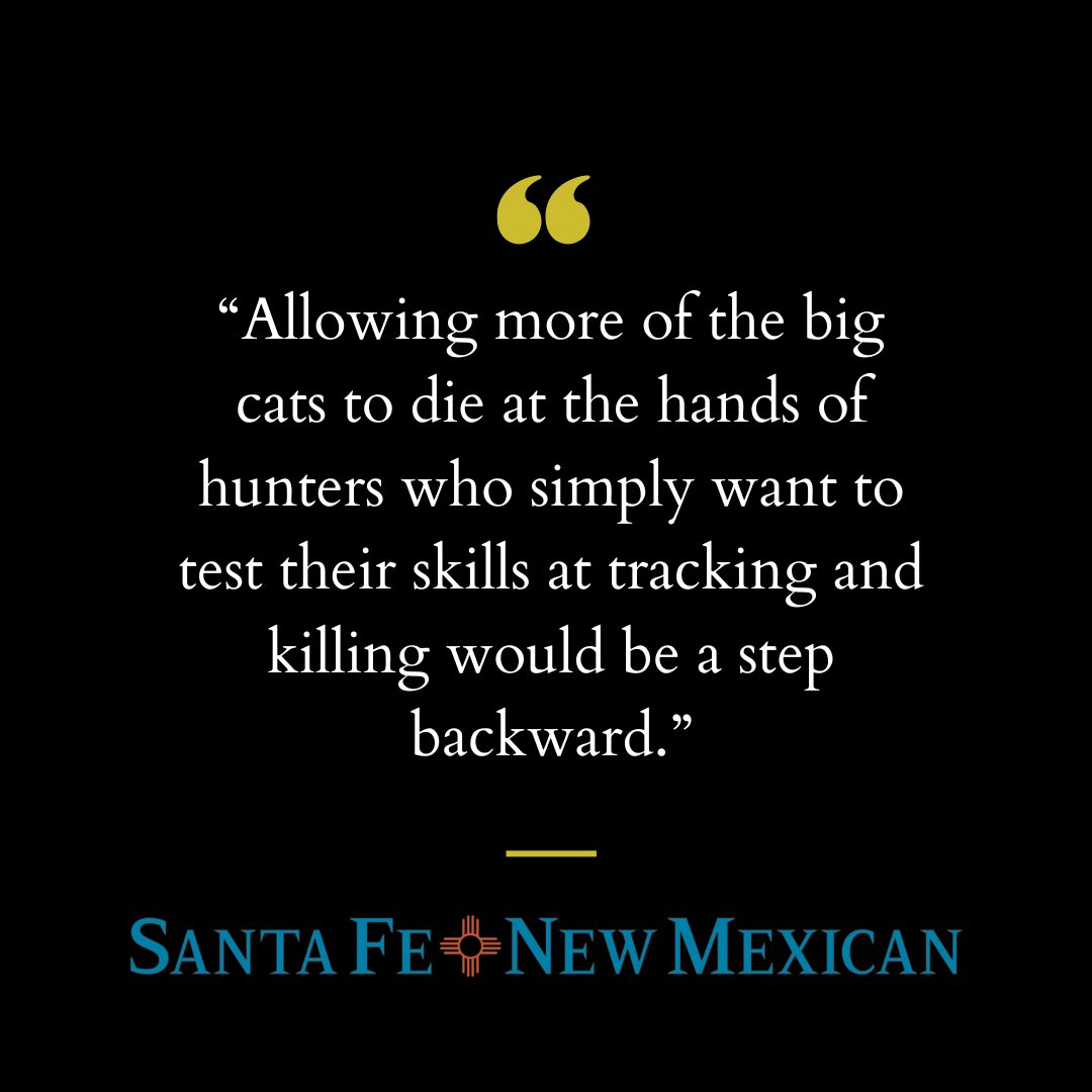 Mountain Lion Fdn (@mtnlionfdn) on Twitter photo Smart editorial in the <a href="/thenewmexican/">Santa Fe New Mexican</a>
Read➡️ santafenewmexican.com/opinion/editor… Smart editorial in the <a href="/thenewmexican/">Santa Fe New Mexican</a>
Read➡️ santafenewmexican.com/opinion/editor…