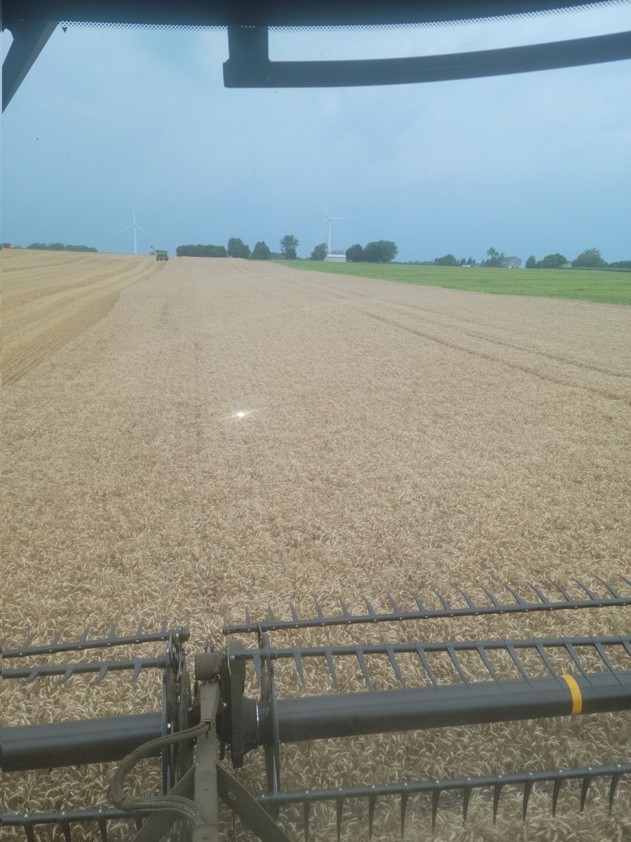 Will we neat the rain...now taking bets