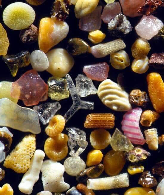 ‘To see a world in a grain of sand’ — William Blake.  This is a microscope’s view of a pinch of the stuff on every beach.