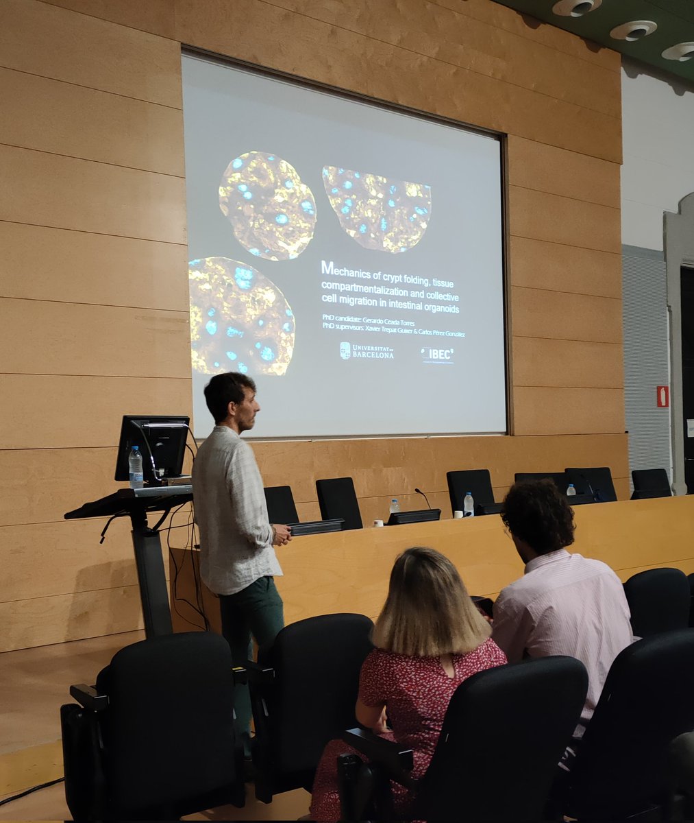 I am so happy to share that last Friday I defended my PhD thesis! @DoctoratUB @BecariosFLC Enormous thanks to my supervisors @XavierTrepat @PerezGonzalezCa for their dedication to me during these years. I learnt a lot from you!