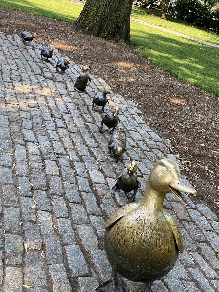 jwootten13's tweet photo. Exploring Boston a little as my mind processes all the learning from #EWIMS from @AAMCtoday https://t.co/80J4eXdagW