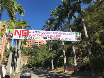 Pronunciamiento en rechazo a la deforestación del bosque urbano de La Alameda, municipio Baruta. 
latierrasecalienta.org/pronunciamient…