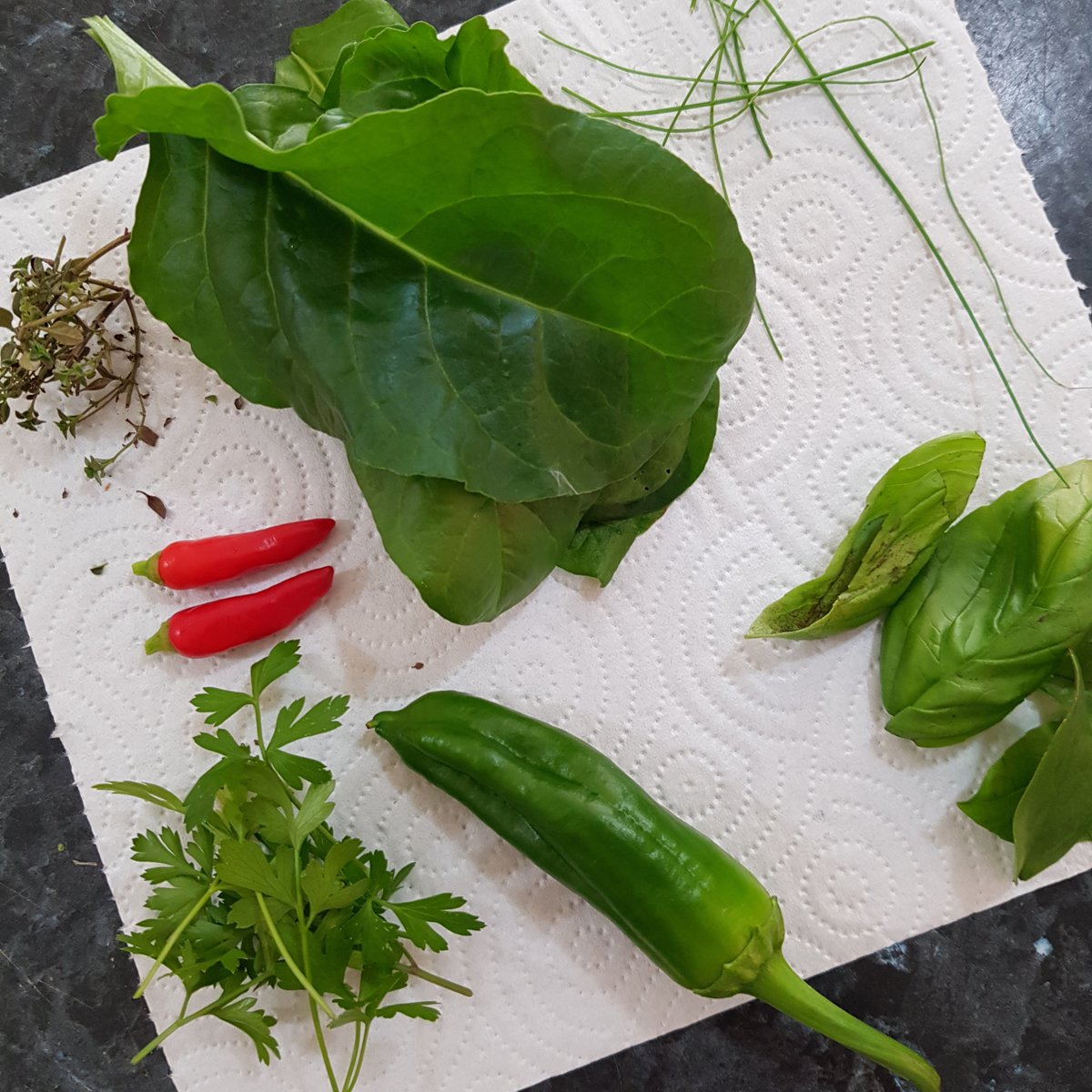 Abundance in the garden - even in winter! #abundance