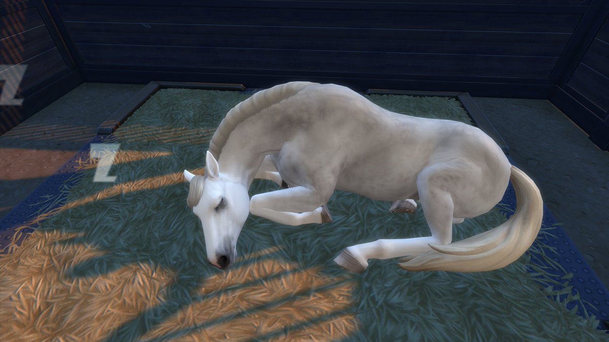 JadeTheFirst tweet media