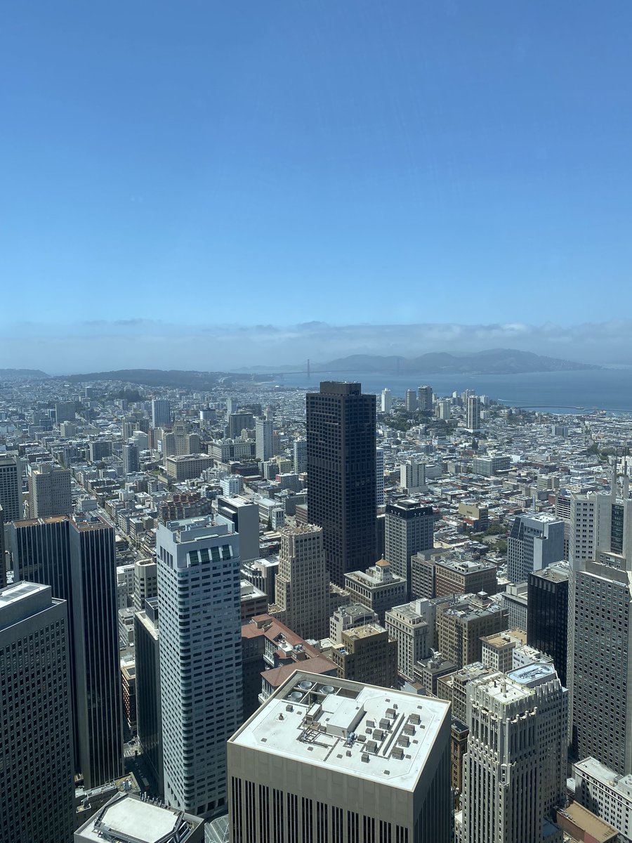 RoyShadmon's tweet photo. My favorite non-work part of my @SalesforceEdu internship is the daily visit to the Ohana floor 🌺 #nationalinternday #nid #futureforceintern https://t.co/mIm8zuHgLd