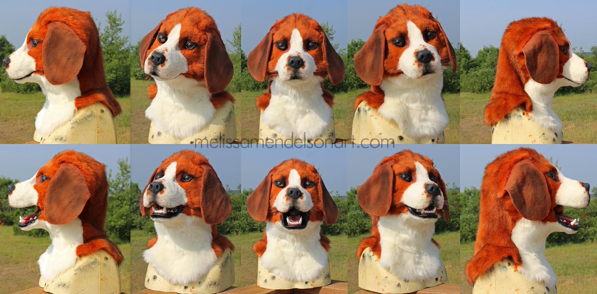 ZulayaWolf's tweet photo. Meet this happy little beagle! They are looking for a new home and a new family to play with!

Info 🧵⬇️ https://t.co/GDWzEd5dA0