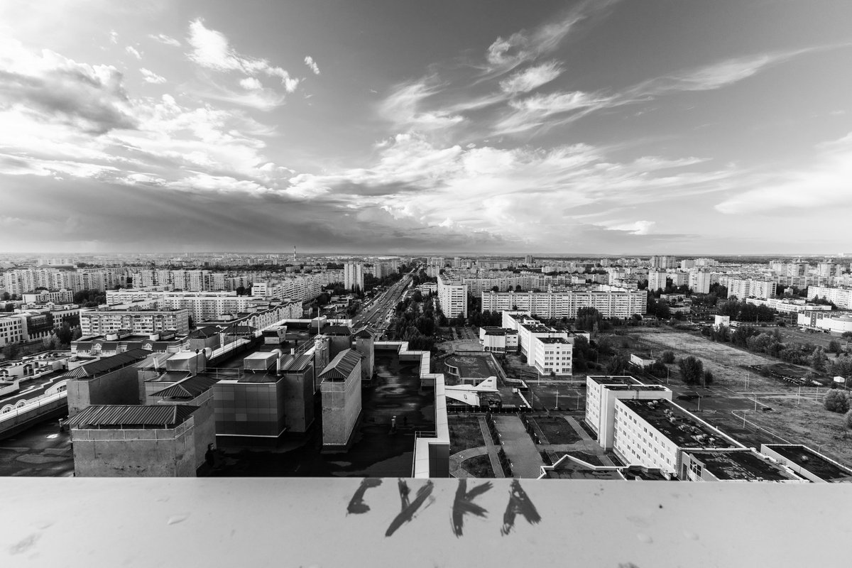 random name (@tim_f_p) on Twitter photo 