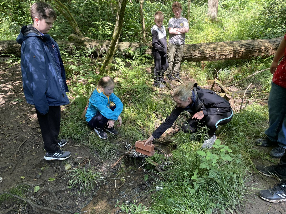 BCCbio's tweet photo. Bridge building !! https://t.co/Yn0cw762tk