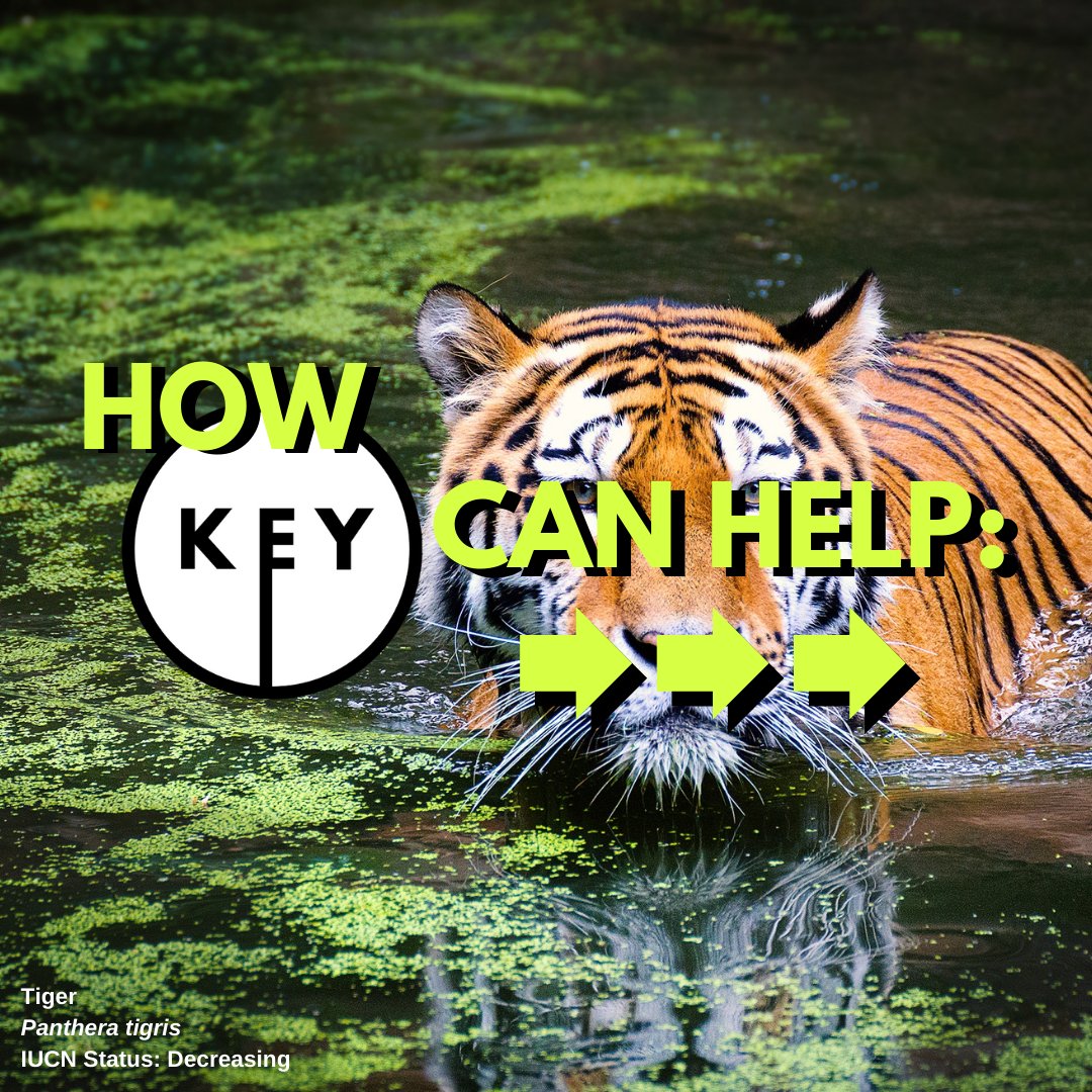 KeyConservation's tweet photo. For the days that do feel a little too overwhelming, join us in #hopescrolling on the #KeyApp! https://t.co/GqfueXR9H8
