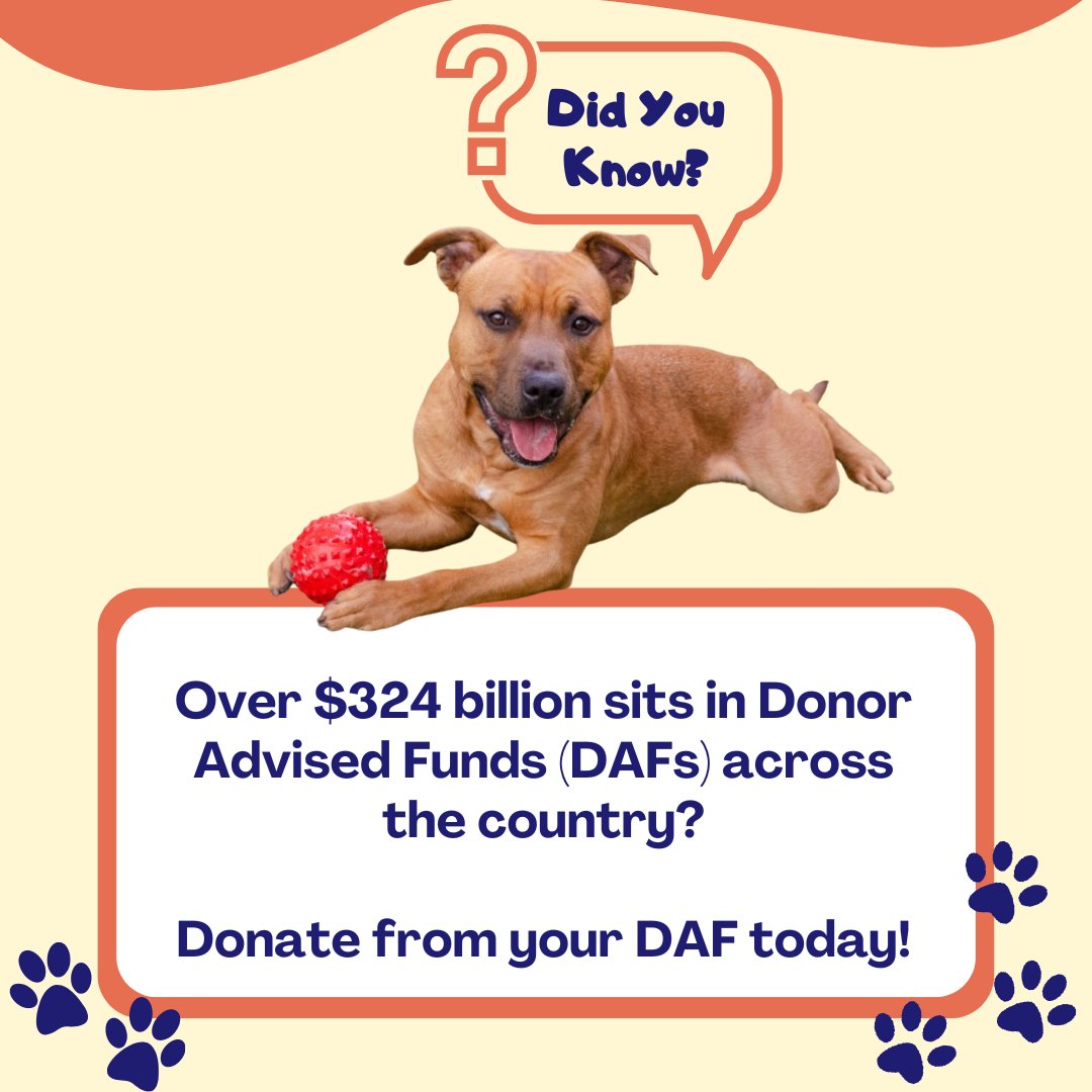 Do you have a Donor Advised Fund (DAF)? Over $234B sits in DAFs in the U.S. All the grants you make to PHS/SPCA and other nonprofits are currently eligible for a match from #HalfMyDAF if you spend down half of the money in your DAF. bit.ly/phsDAF2023