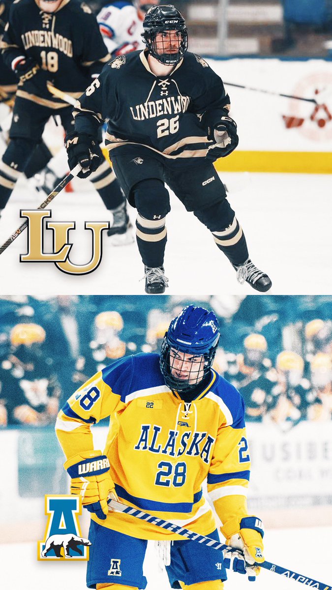 Vote below for the best jersey

@LULionsHockey 
@NanooksHockey