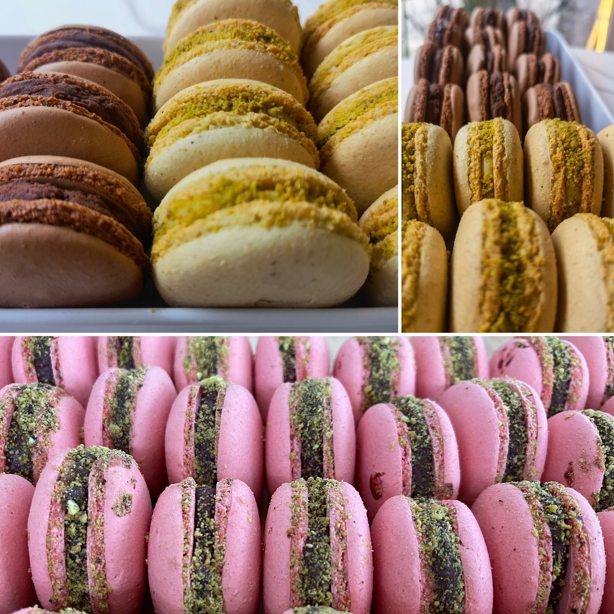 Hoy tocó día de Macarons, disponibles en tienda y por pedido a domicilio con cargo. Whatsapp 
wa.me/5530993957