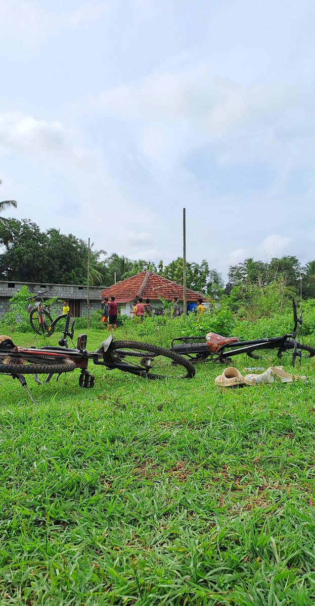 പുലർകാല വന്ദനം 🍃