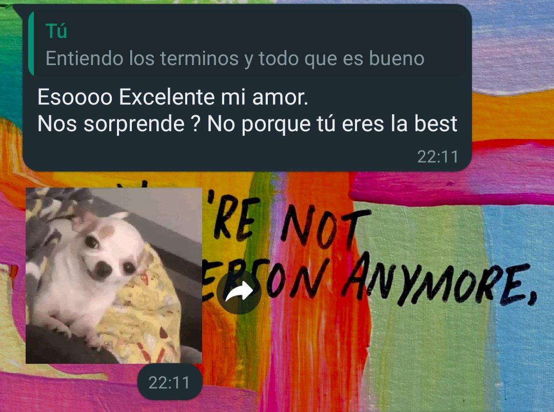 _ferxxa_'s tweet photo. Tengo un examen importante mañana, mi amorcito automaticamente: 🥺☺️❤️ https://t.co/NjJMFyJrG6