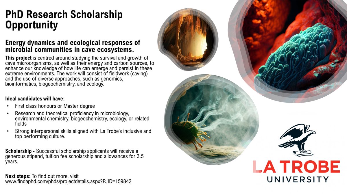 We are growing! The Bay Lab is hiring its first PhD student. Please share widely within your network. DMs are welcome, more details here: findaphd.com/phds/projectde… #PhD #scholarship #research #microbiology #biogeochemistry #ecology #caving #spelunking.