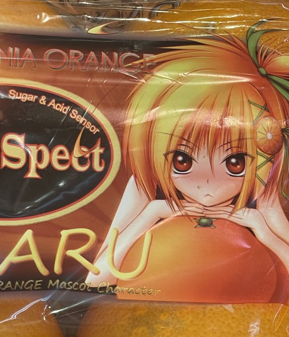 ほほう…(*'﹃`*)ジュルリ 