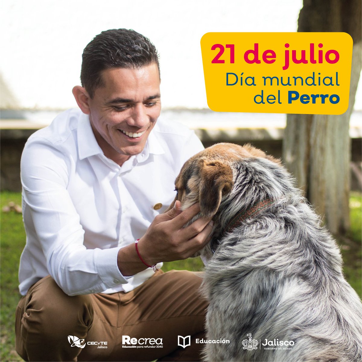 cecytejal_'s tweet photo. Hoy es el Día Mundial del Perro 🐶🐾, una fecha para celebrar a nuestros fieles compañeros de cuatro patas. Los perros son más que mascotas, son parte de nuestra familia, nos brindan amor, lealtad y alegría.🫶

#SomosGrandes💖
#SomosCECyTEJ💚🧡 https://t.co/iulZA9ljR0