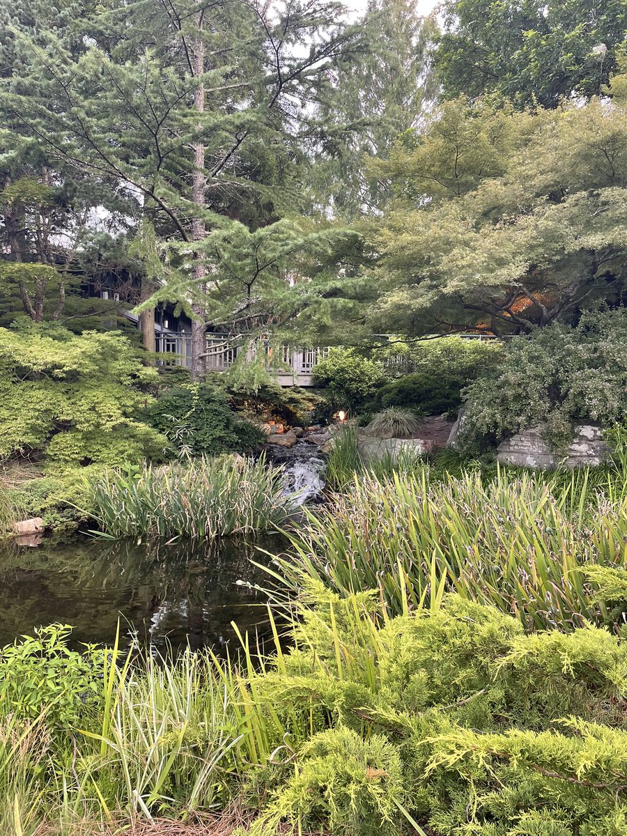 tracy_woods_'s tweet photo. An evening at Lewis Ginter Botanical Garden #flowersafterhours #botanical #evening #gardens #lewisginter https://t.co/C5kgWUzFom