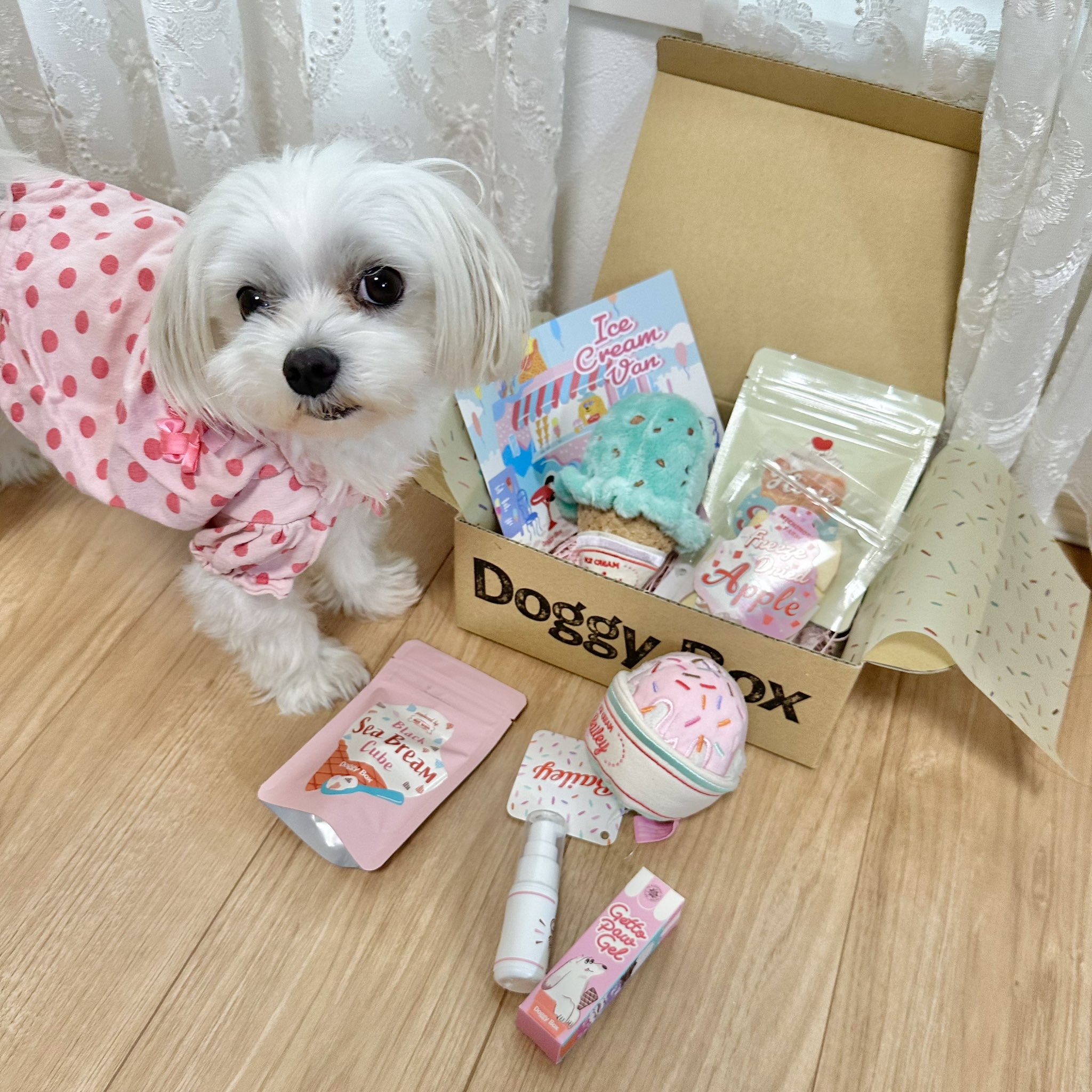 大人も着やすいシンプルファッション ドギーボックス7月号 - Search / X おもちゃ