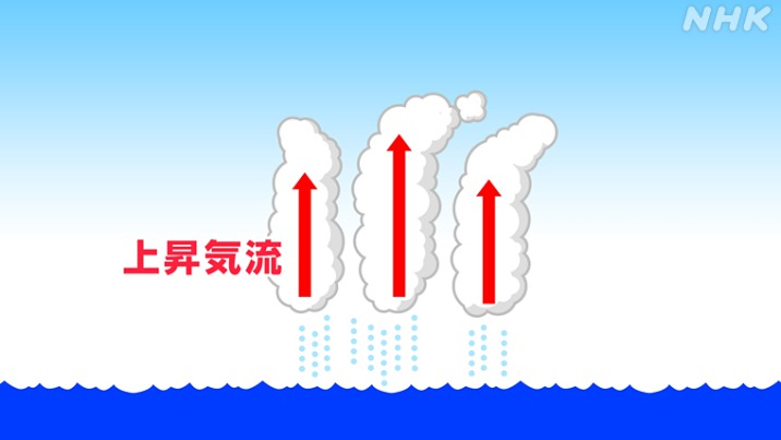 nhk_news's tweet photo. 台風５号（トクスリ）が発生しました

今後非常に強い勢力となって沖縄県の八重山地方に近づくおそれがあります

そもそも台風はなぜ発生し 日本に来るのか １から解説します

https://t.co/Lk406cIcKm https://t.co/4twkWCOHvr