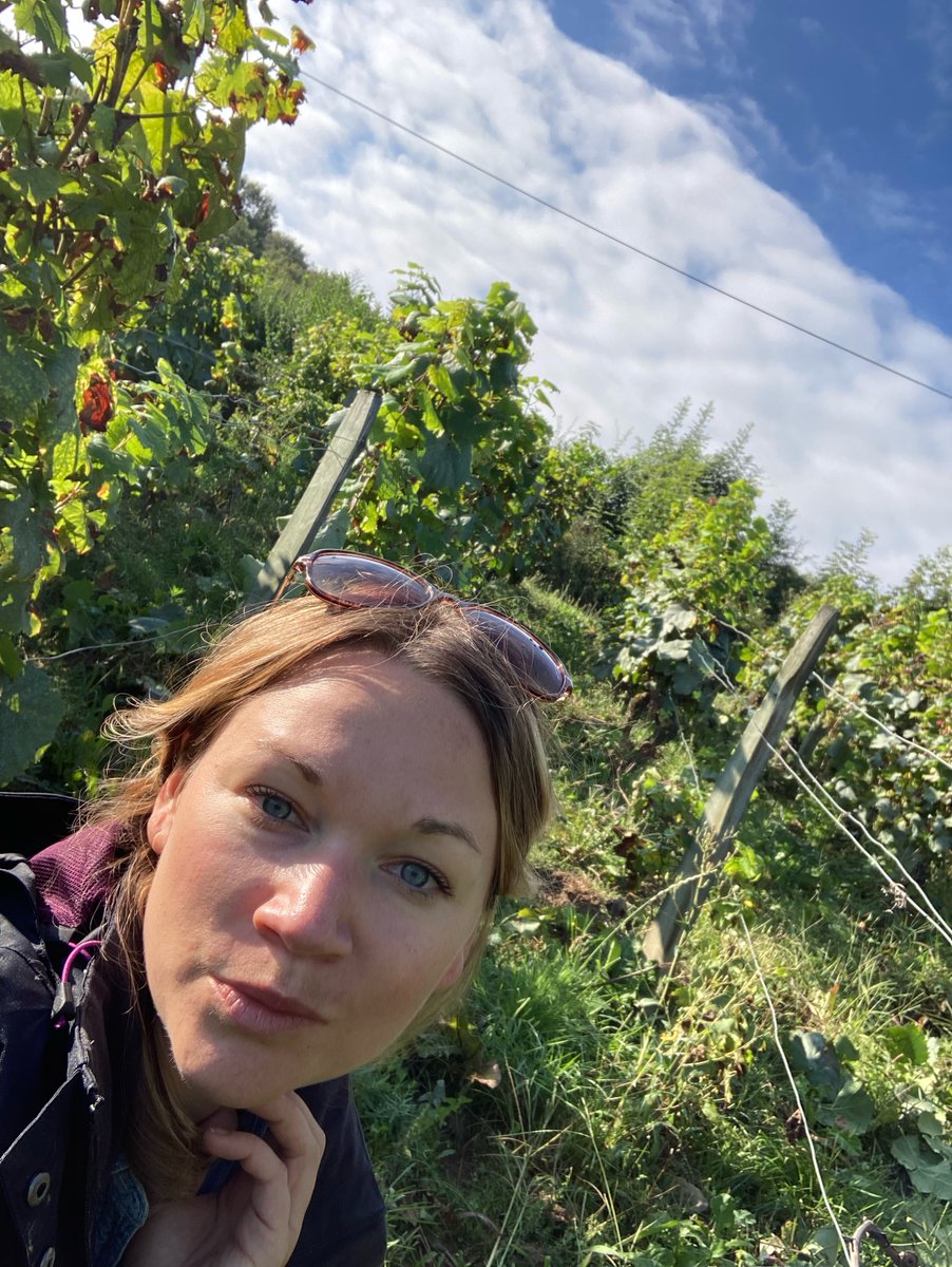 Burgundy Wine Dinner at Myriel - Tuesday August 8th - mailchi.mp/573e484bf87c/m…