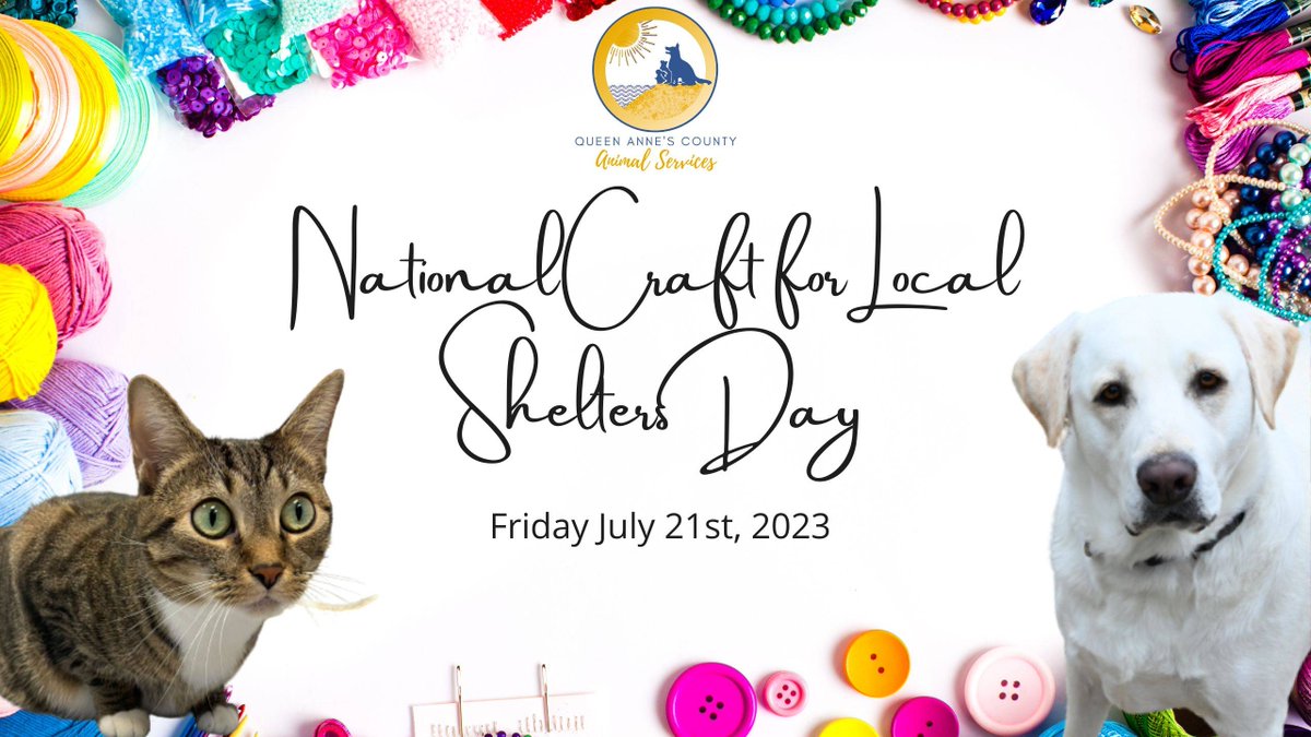 QACAnimals's tweet photo. Calling all crafters 📢 Tomorrow is National Craft for Local Shelters Day! When going through your recyclables, junk or old clothing, consider repurposing for the QAC shelter animals!  Link for inspiration:
https://t.co/iCSg4PLUS1 https://t.co/hsPclyVI6J