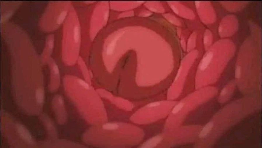 “ai eu sou literalmente a barbie amo rosa”

eu: