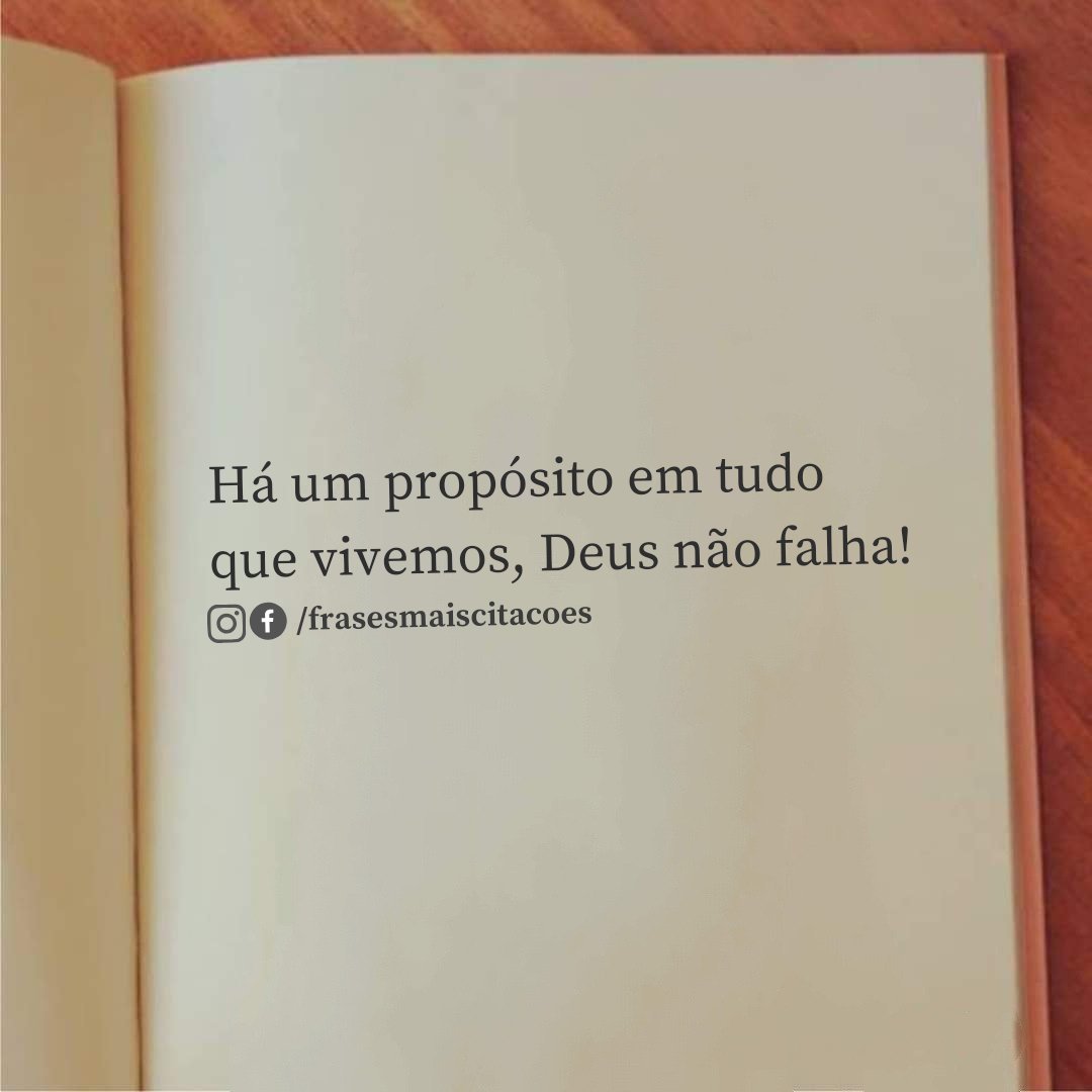 Frases Mais Citações® tweet media
