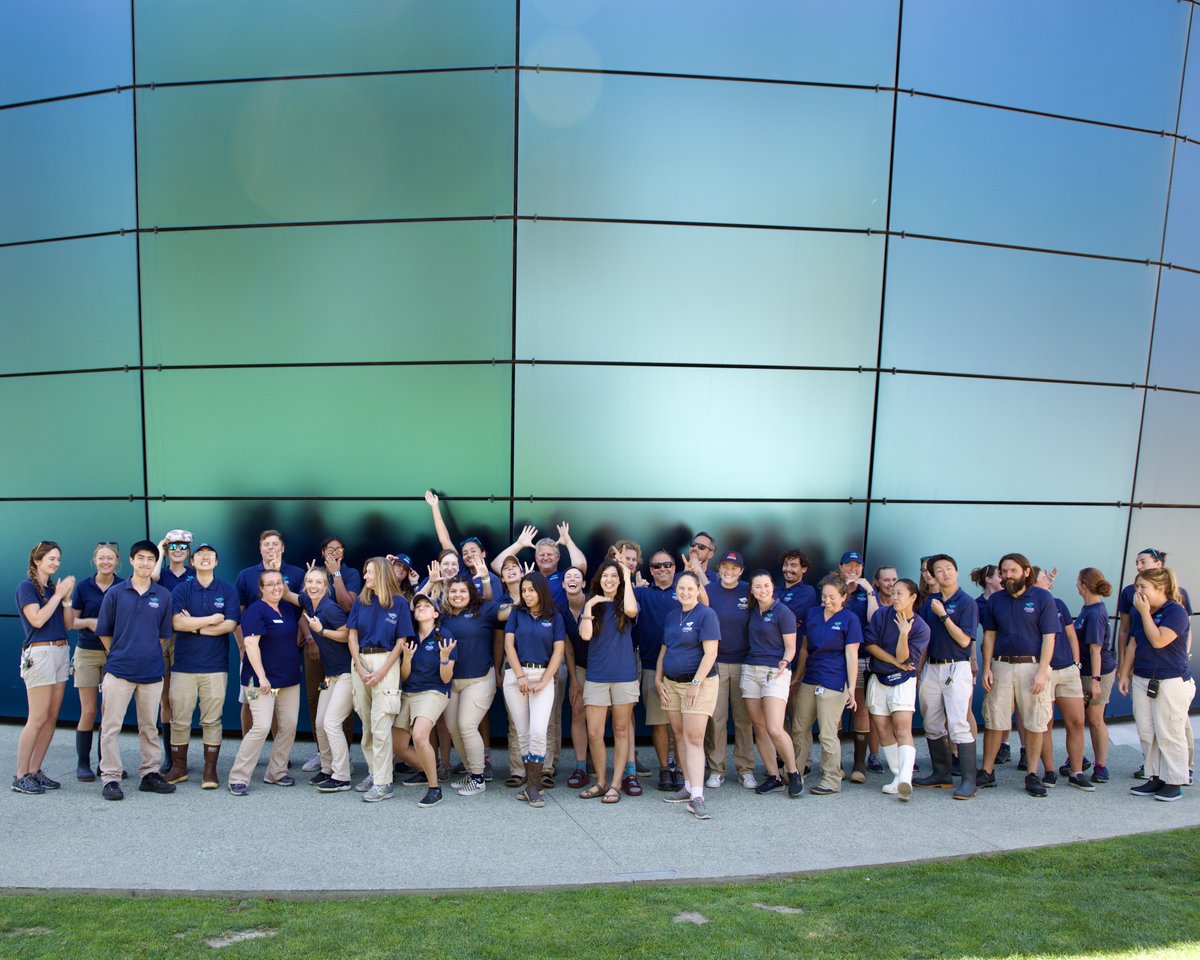 AquariumPacific's tweet photo. Happy #ZookeeperAppreciationWeek to our incredible animal care team! Please join us in thanking our staff for caring for the 12,000 animals that call us home and saving species through conservation efforts. Real-life rockstars! π€ππ https://t.co/AuVflyJN7M