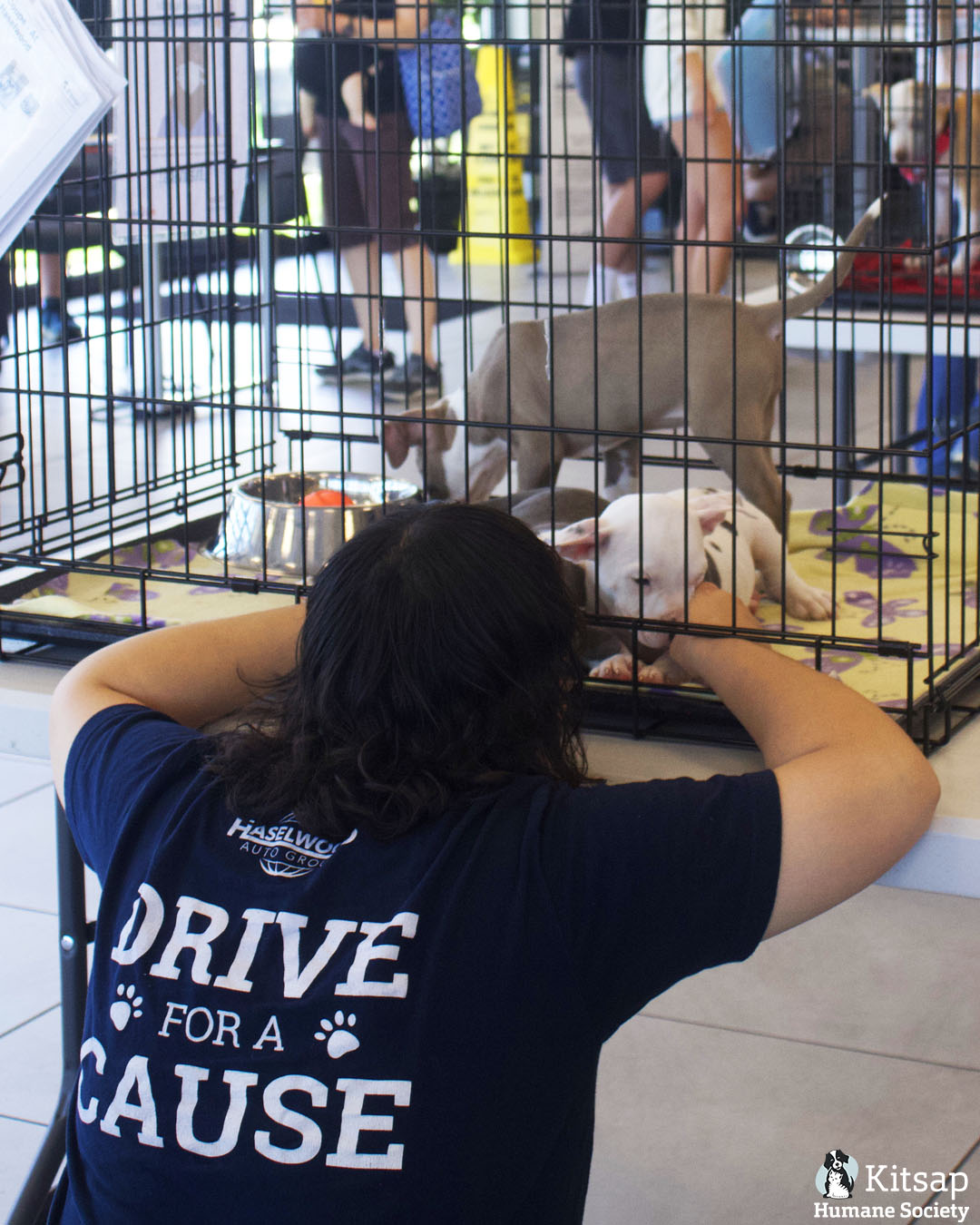 Kitsap Humane Society on Twitter "Special thanks to our friends at