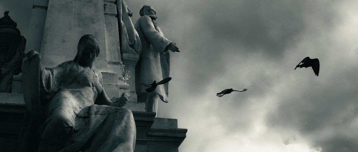 phasme.raw tweet media