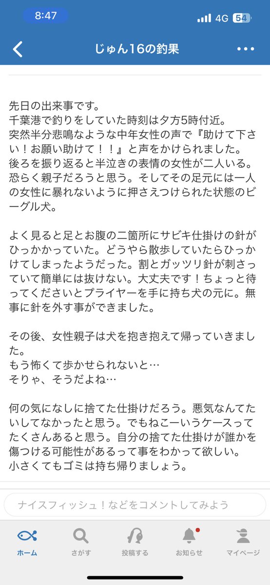 某釣りSNSで見かけました。
同じ釣り人として悲しい気持ちになりました
そして投稿者様に感謝いたしますm(_ _)m