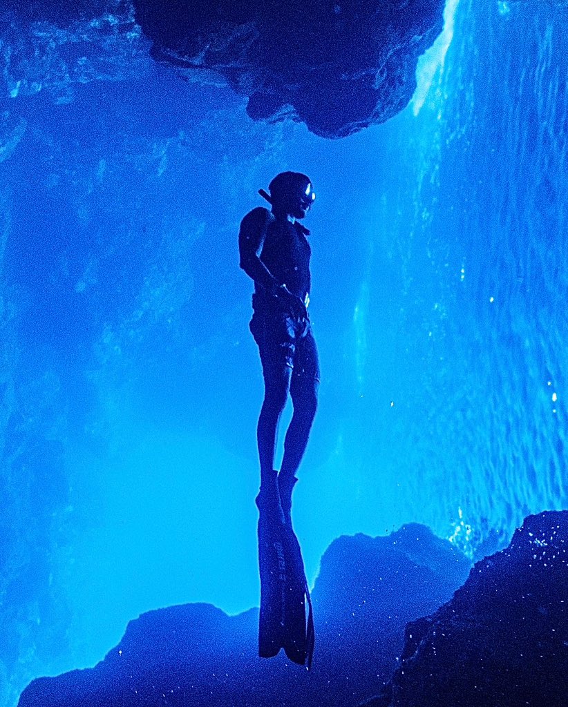dougdesigner's tweet photo. Sink or swim 🧜🏼‍♂️ https://t.co/70IDmfLZaG