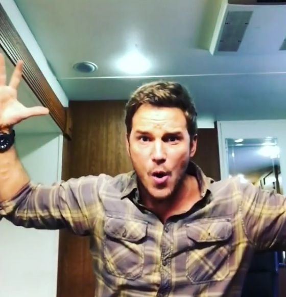 ⌜✪⌟ tweet media