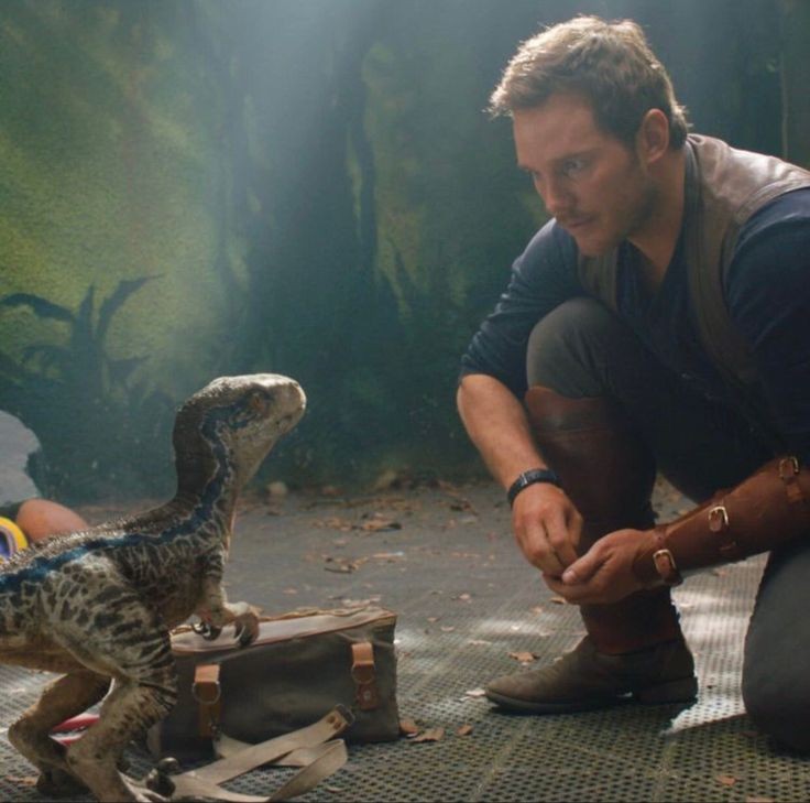 ⌜✪⌟ tweet media