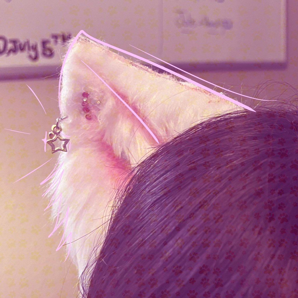 ravepupp's tweet photo. Woooof! A lot of hard work. Excited to lay back and relax. In the meantime here's a little teaser of whats to come!

#fauxfurears #Barbie #barbiemovie https://t.co/Ys30ZQRUdr