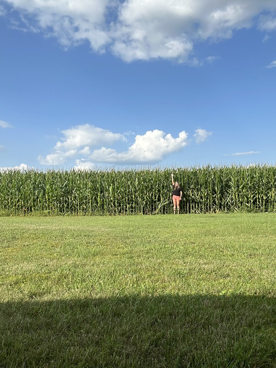 Jessenjj's tweet photo. Dear Mother Nature … please play nice I’m loving my beautiful corn this year 🌽 
#MN #Pioneer https://t.co/ZYjKS5aC53