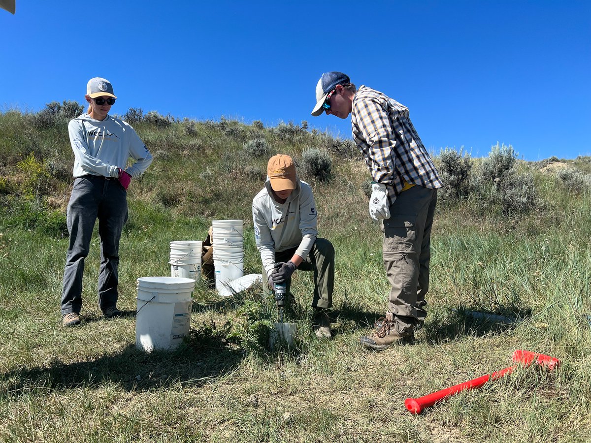 #ThankfulThursday BLM Wyoming has partnered w/ Devon Energy & Wyoming Conservation Corps for 16 years to give back to public lands. This year’s workday took us to the Buffalo Field Office where we plugged obsolete groundwater monitoring wells & removed trash. #Partnership