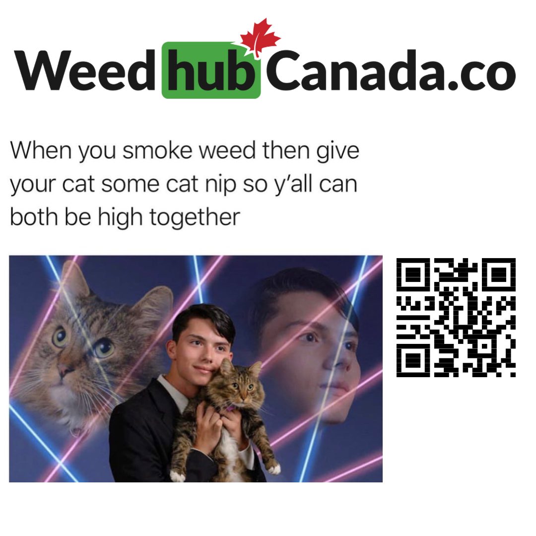 Weedhubcanada's tweet photo. π±π¨π¦ #weedhubcanada #canada #cat #catnip #hightogether #weed https://t.co/At8LjGiXaZ