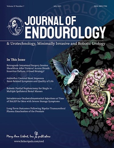 Thank you <a href="/JEndourology/">Journal of Endourology</a> for the cover art feature this month! #streamworksart