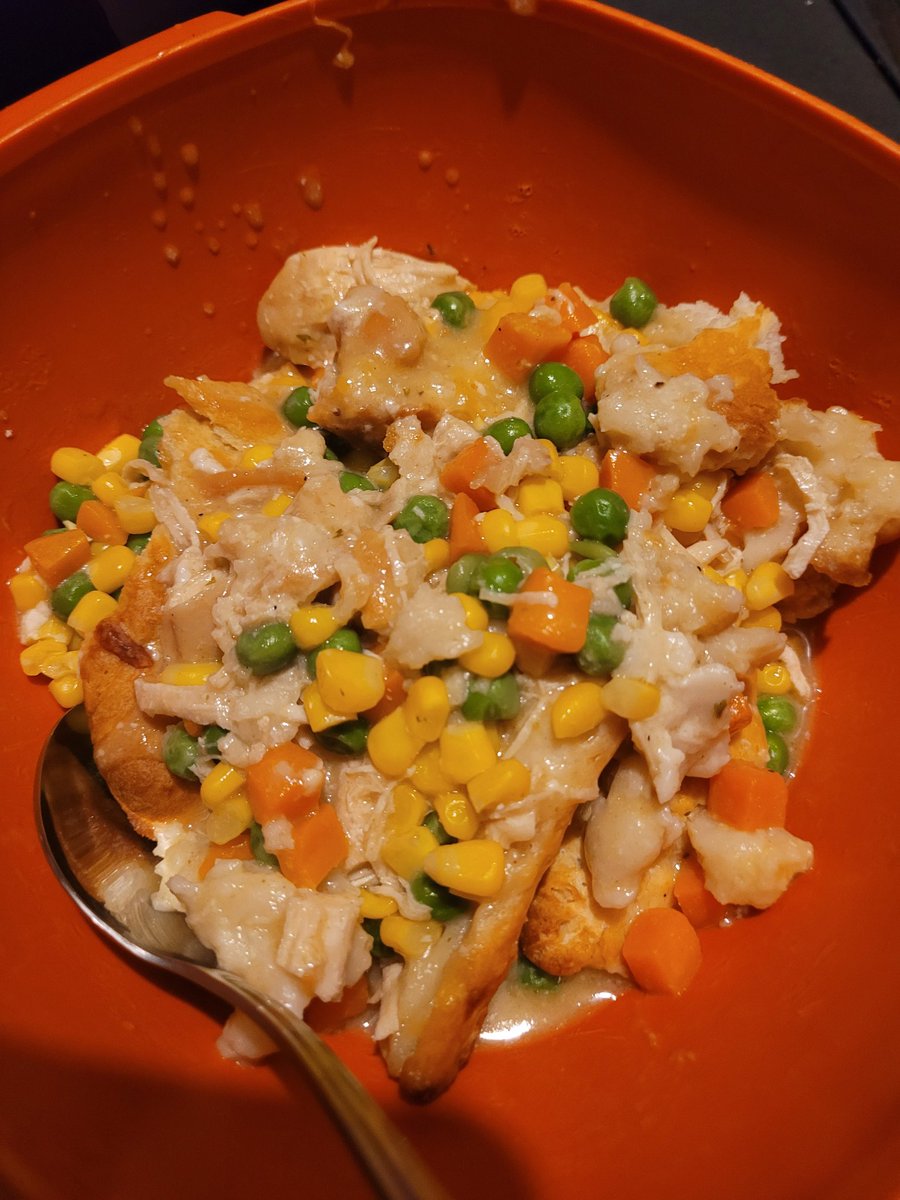 nyphlex's tweet photo. First time making chicken pot pie. Everyone approved. https://t.co/mt8u0lgYLC