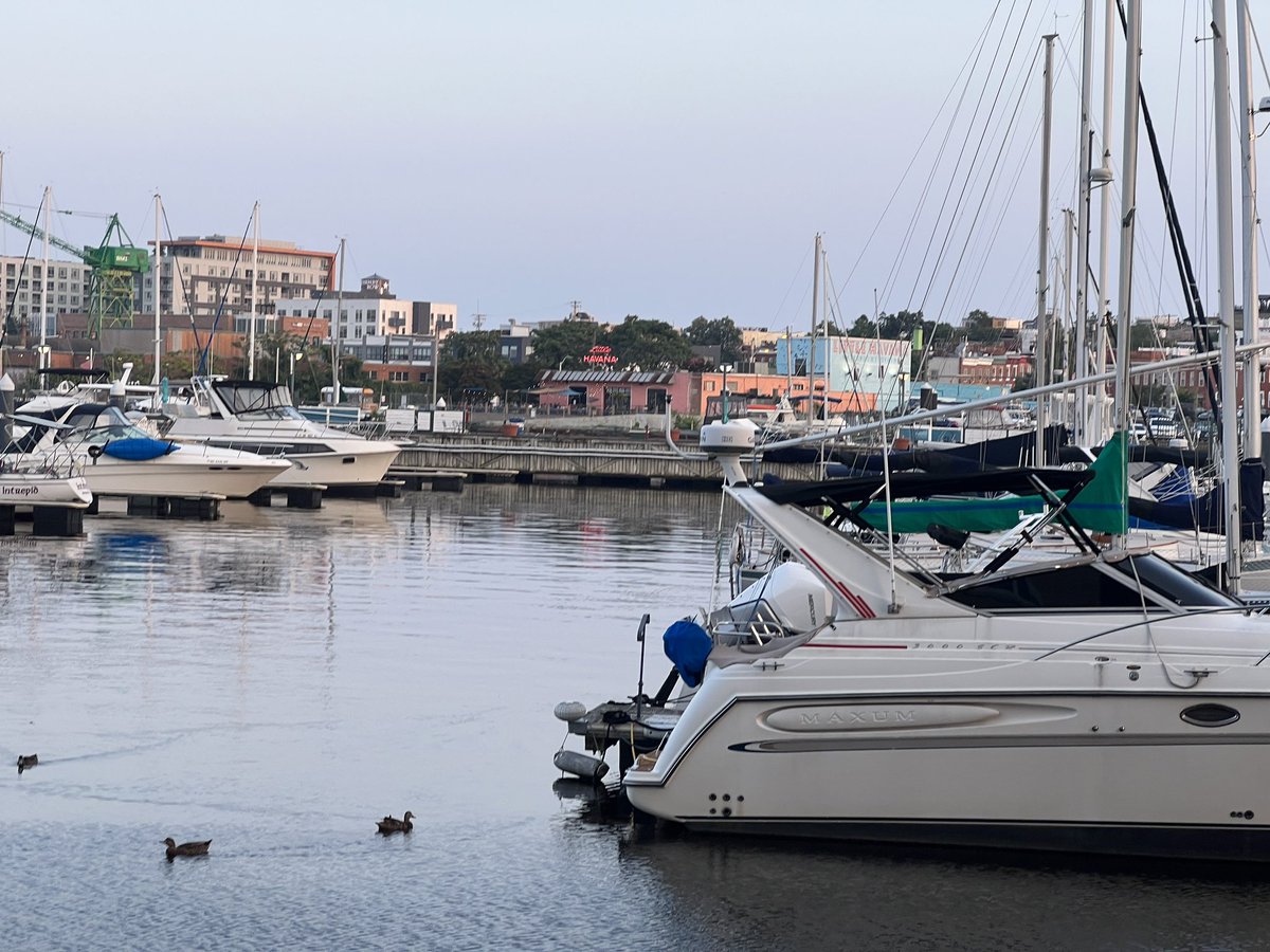 Tasha Stewart tweet media