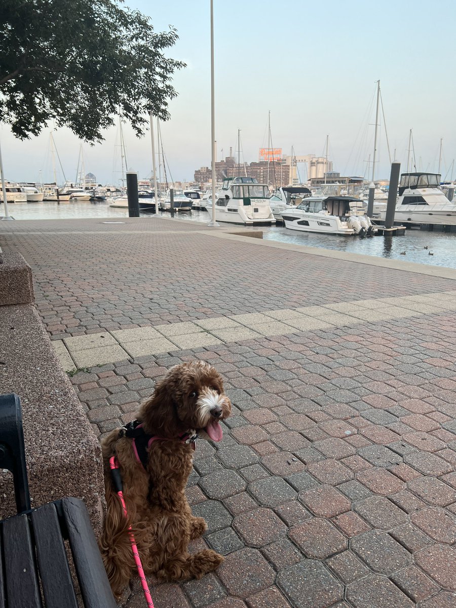 Tasha Stewart tweet media