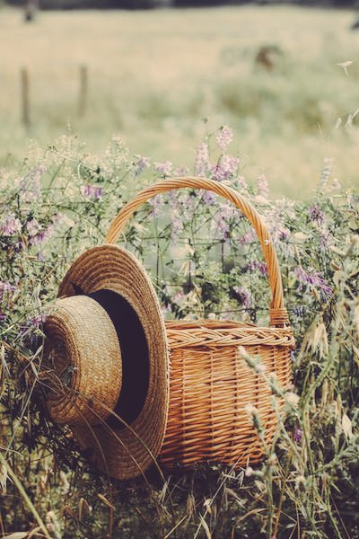 ikawa_ki's tweet image. #hellotwitter, how we doing today?